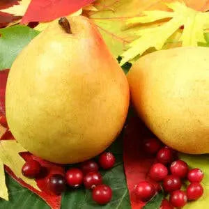 Cranberry Pear White Balsamic Vinegar The Tangy Olive