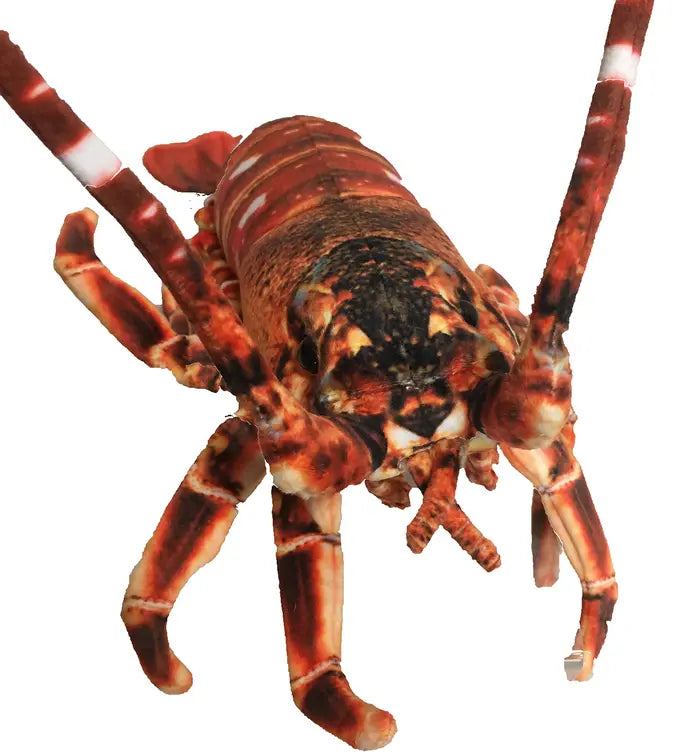 Crawfish Lobster 12.5" Plush Aquatic Stuffed Animal Texas Toy Distribution