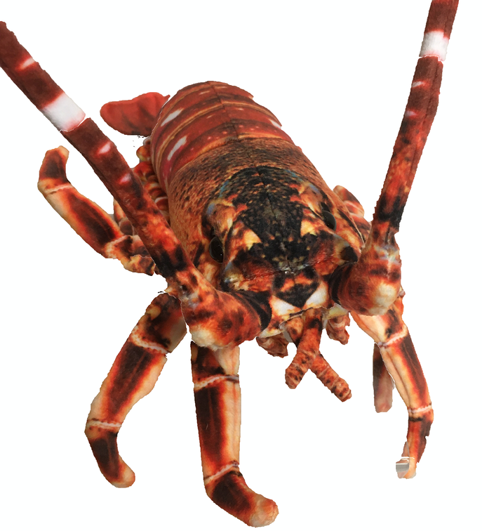 Crawfish Lobster 12.5" Plush Aquatic Stuffed Animal Texas Toy Distribution