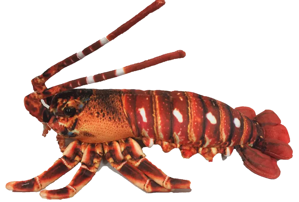 Crawfish Lobster 12.5" Plush Aquatic Stuffed Animal Texas Toy Distribution