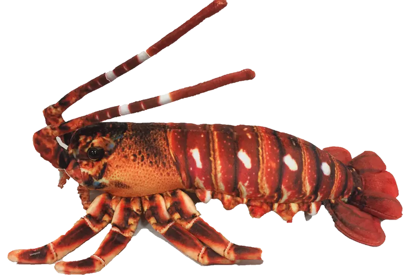 Crawfish Lobster 12.5" Plush Aquatic Stuffed Animal Texas Toy Distribution