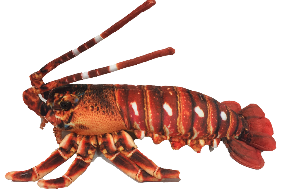 Crawfish Lobster 12.5" Plush Aquatic Stuffed Animal Texas Toy Distribution