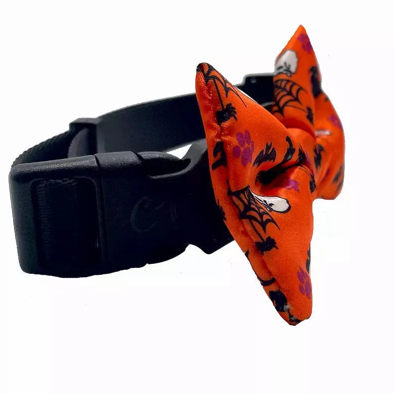 Cutie Ties Dog Bow Tie Cutie Ties