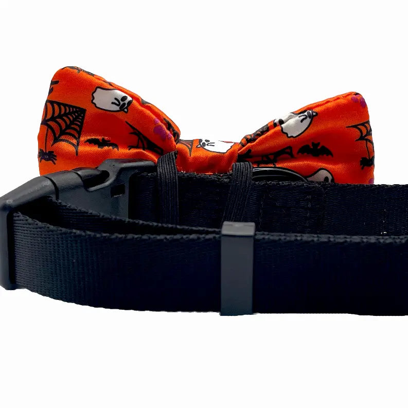 Cutie Ties Dog Bow Tie Cutie Ties