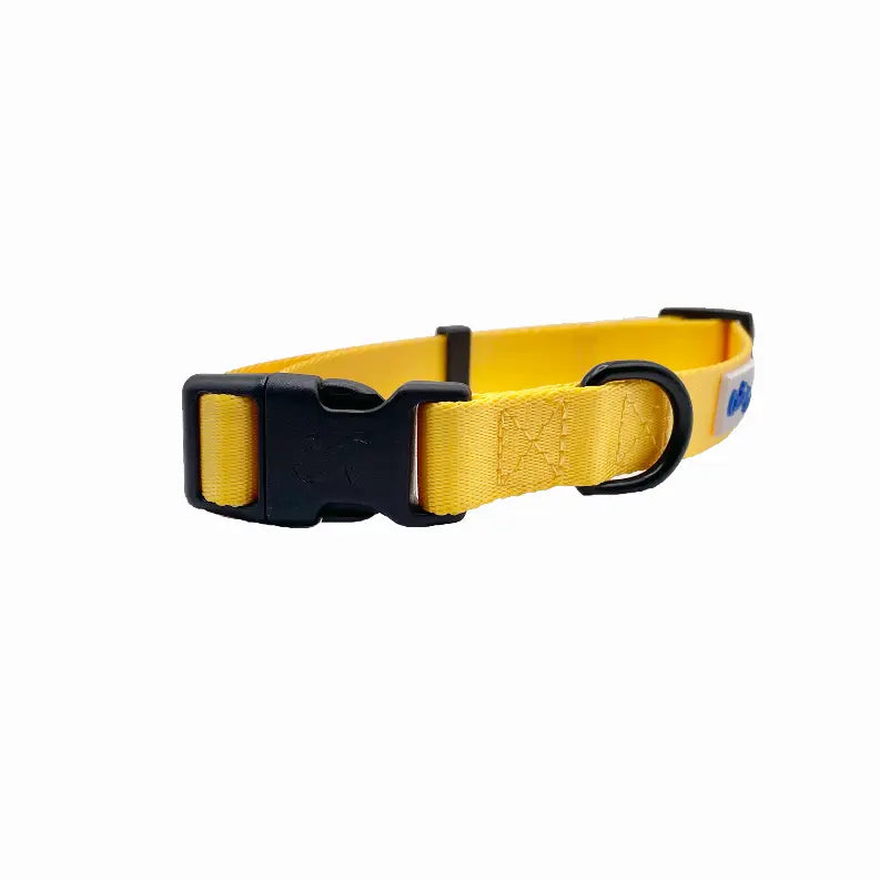 Cutie Ties Fun Design Dog Collar Cutie Ties