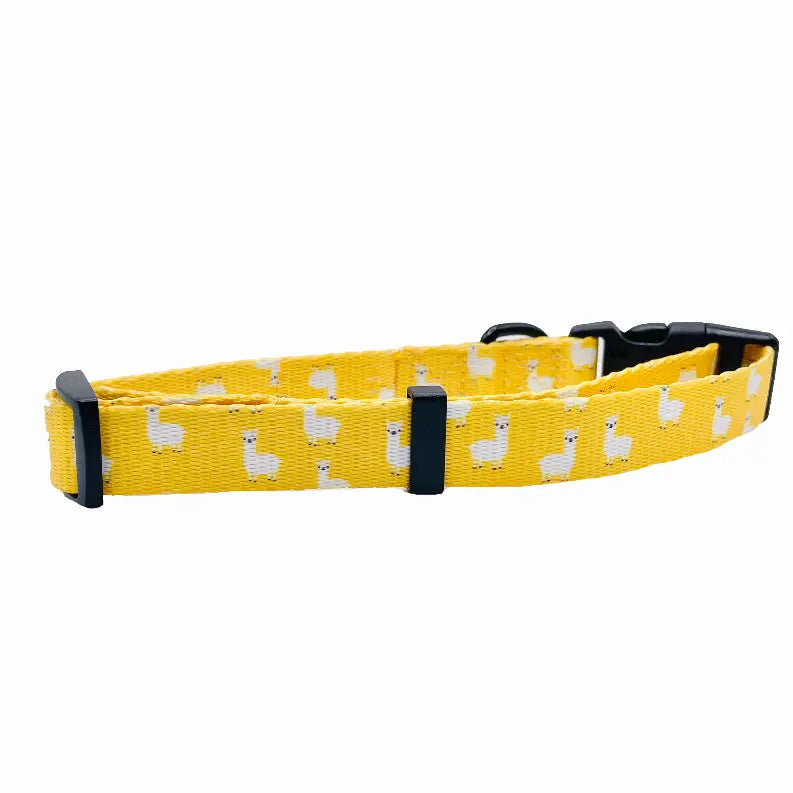 Cutie Ties Fun Design Dog Collar Cutie Ties