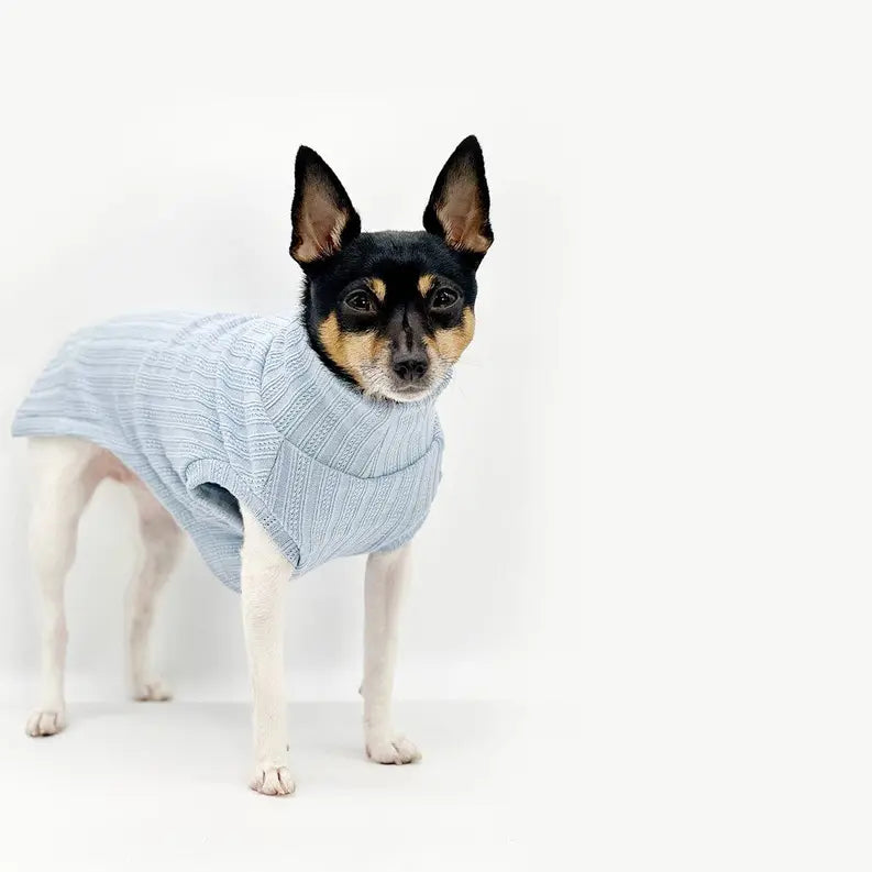DCNY Mock Neck Sleeveless Sweater Tank DoggieCoutureNY