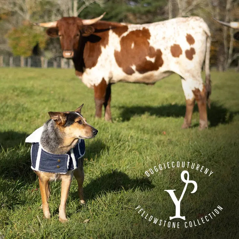 DCNY Ranch Coat DoggieCoutureNY