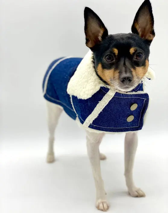 DCNY Ranch Coat DoggieCoutureNY