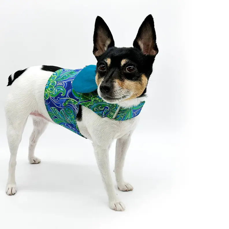 DCNY "Pretty in Paisley" Vest-Style Harness DoggieCoutureNY