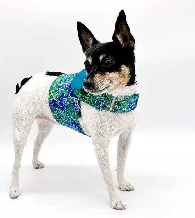 DCNY "Pretty in Paisley" Vest-Style Harness DoggieCoutureNY