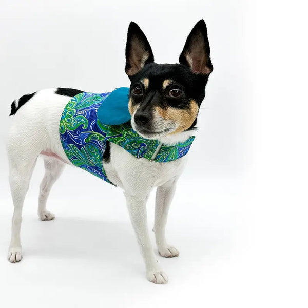 DCNY "Pretty in Paisley" Vest-Style Harness DoggieCoutureNY