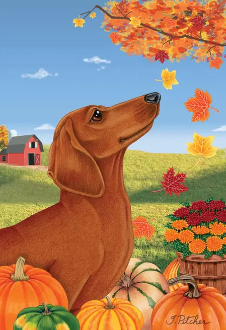 Dachshund  Red - Tomoyo Pitcher Autumn Leaves Outdoor Flag Best of Breed