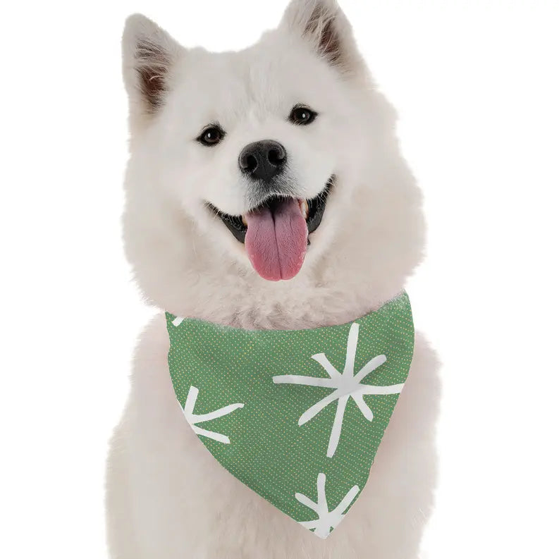 Dara Bandoggies