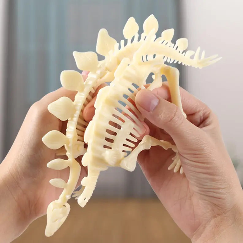 Dinosaur Skeleton Realistic Model Assembly Peggable Kits Texas Toy Distribution