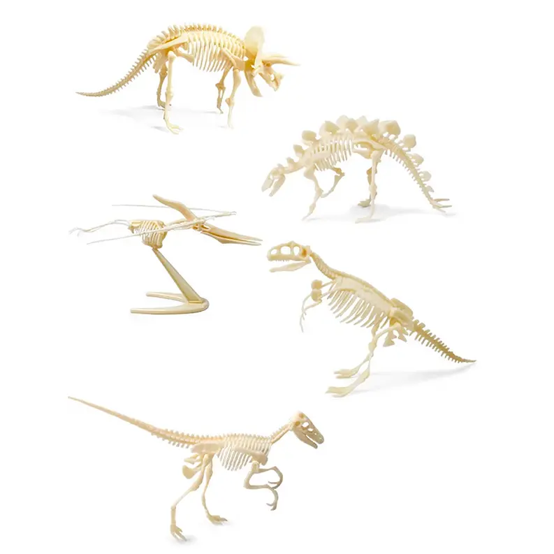Dinosaur Skeleton Realistic Model Assembly Peggable Kits Texas Toy Distribution
