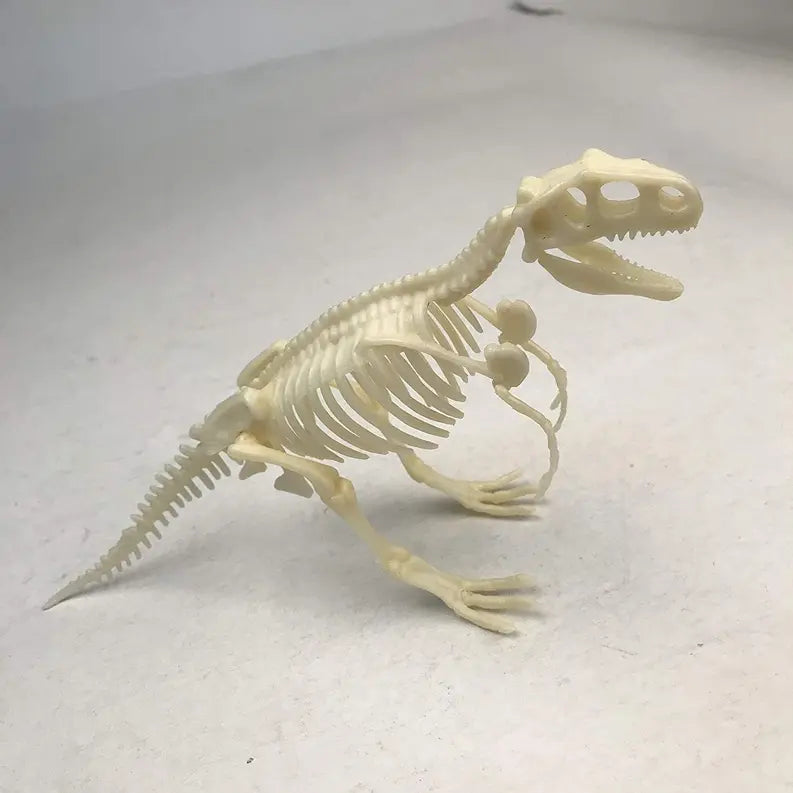 Dinosaur Skeleton Realistic Model Assembly Peggable Kits Texas Toy Distribution