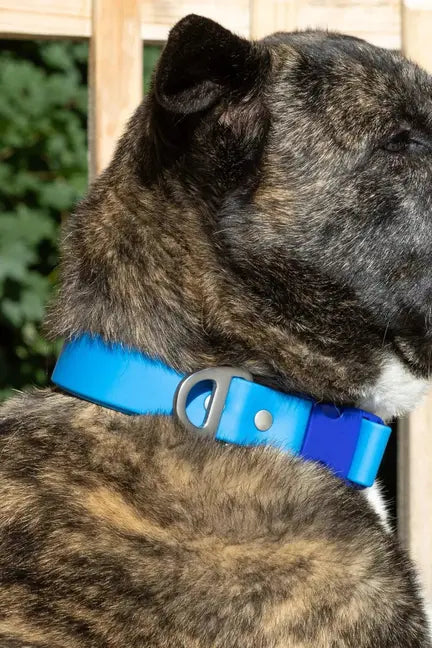 Dockside Adventures Waterproof Dog Collar Aria the Fox