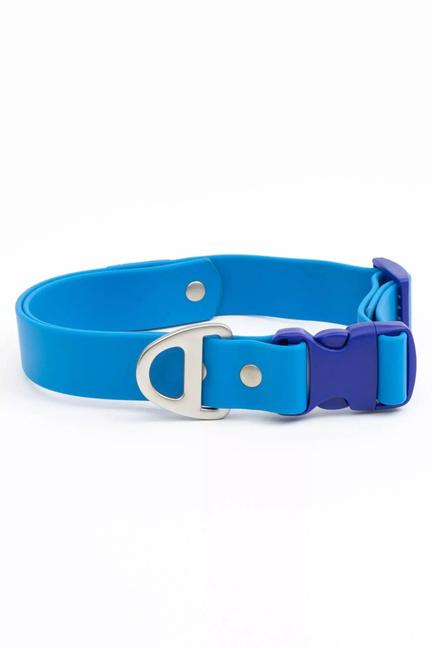 Dockside Adventures Waterproof Dog Collar Aria the Fox