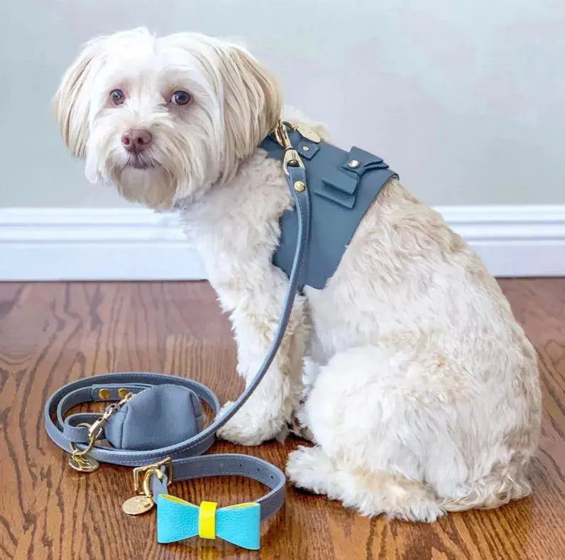Dog Bow Tie PoisePup