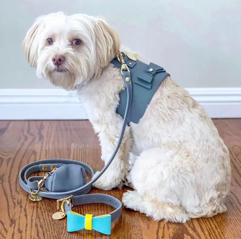 Dog Bow Tie PoisePup