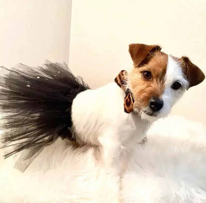 Dog Bow Tie PoisePup