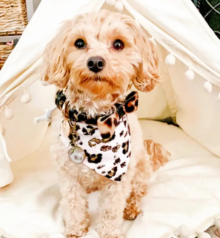 Dog Bow Tie PoisePup