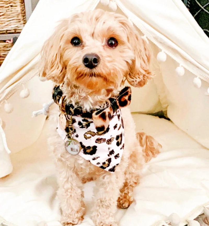 Dog Bow Tie PoisePup