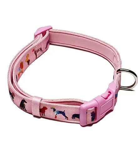 Dog Collar DRL