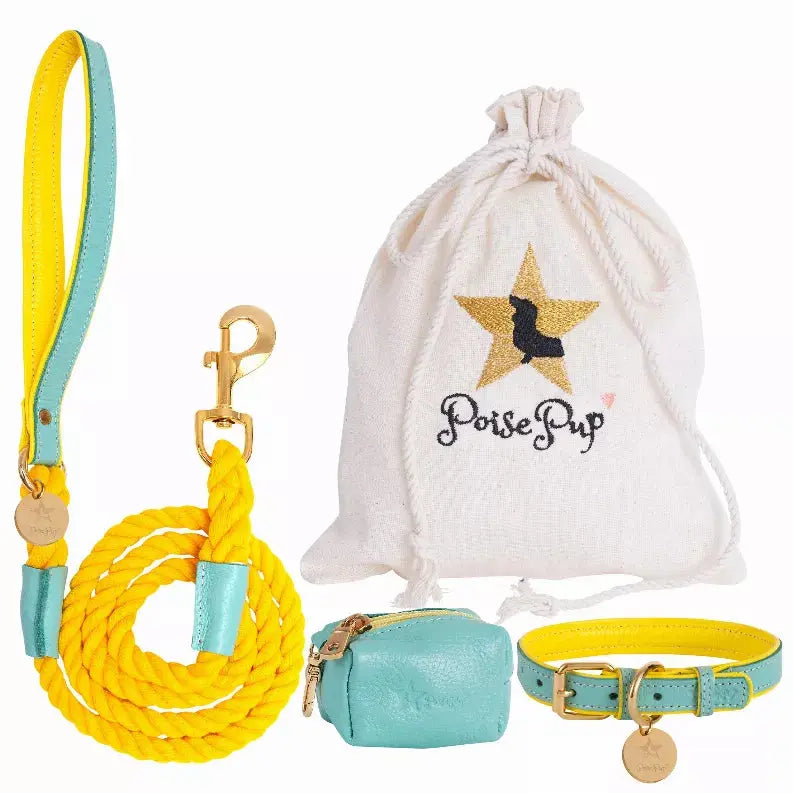 Dog Harness PoisePup