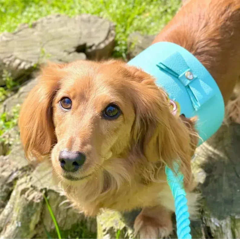 Dog Harness PoisePup