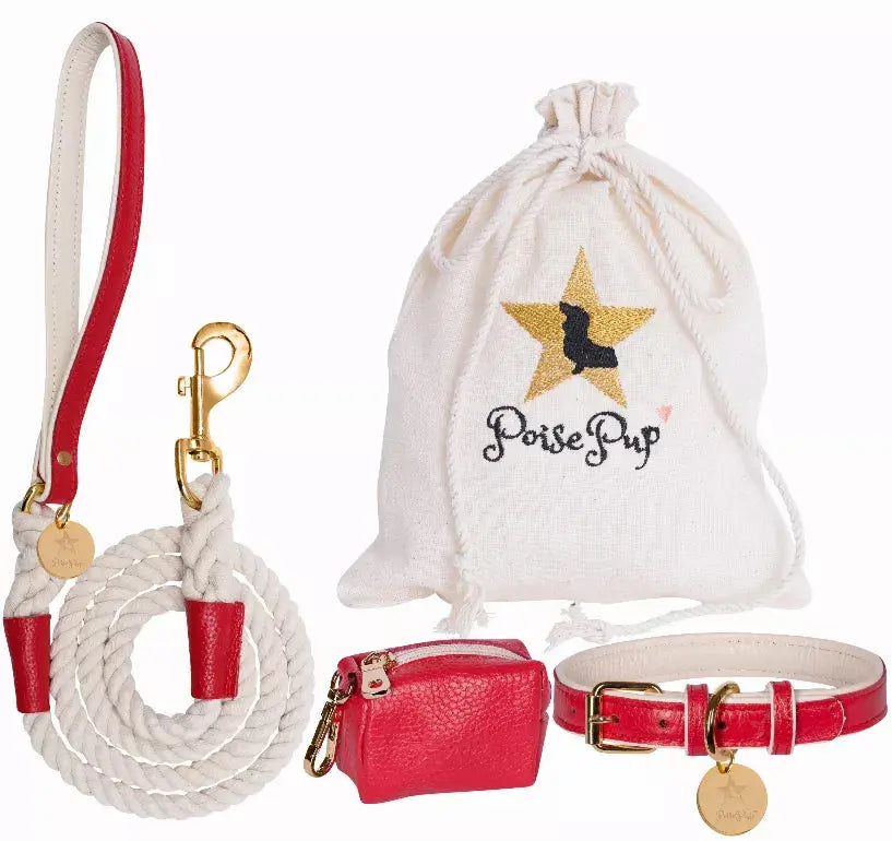Dog Harness PoisePup