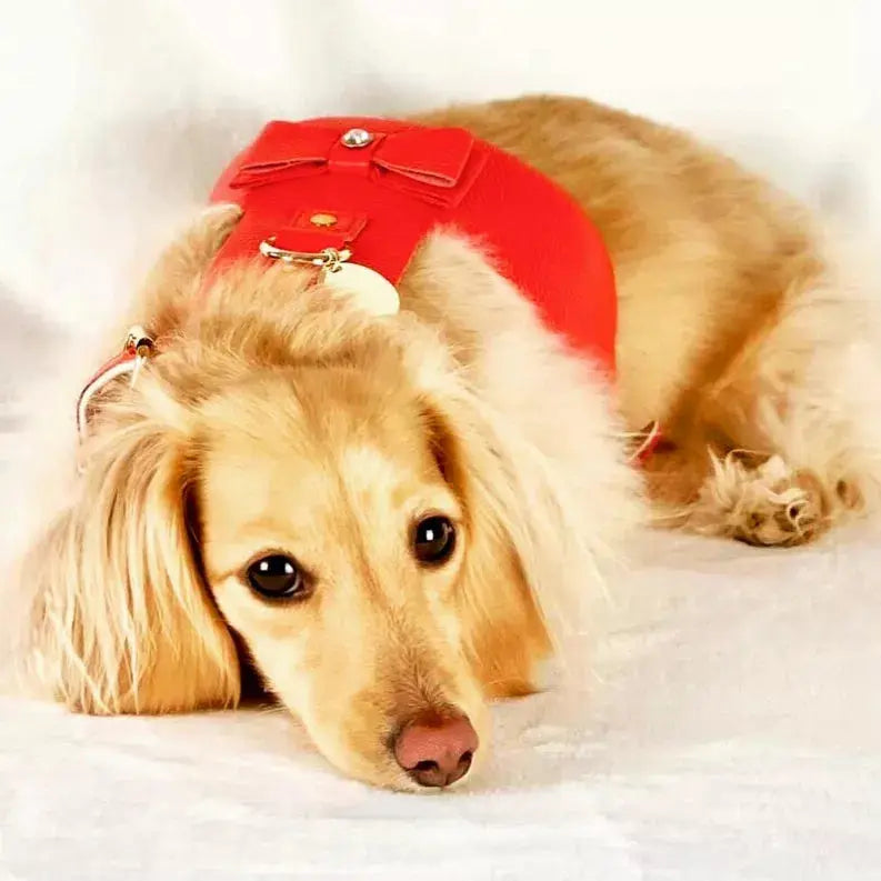 Dog Harness PoisePup