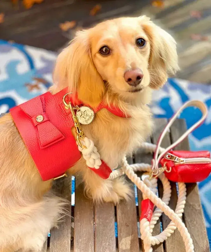 Dog Harness PoisePup