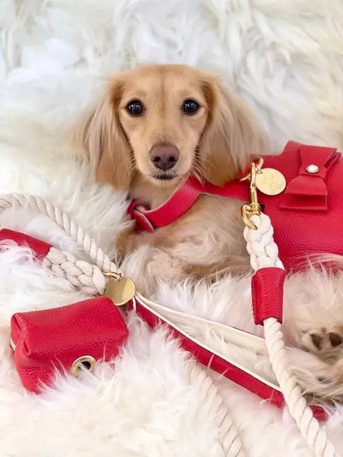 Dog Harness PoisePup