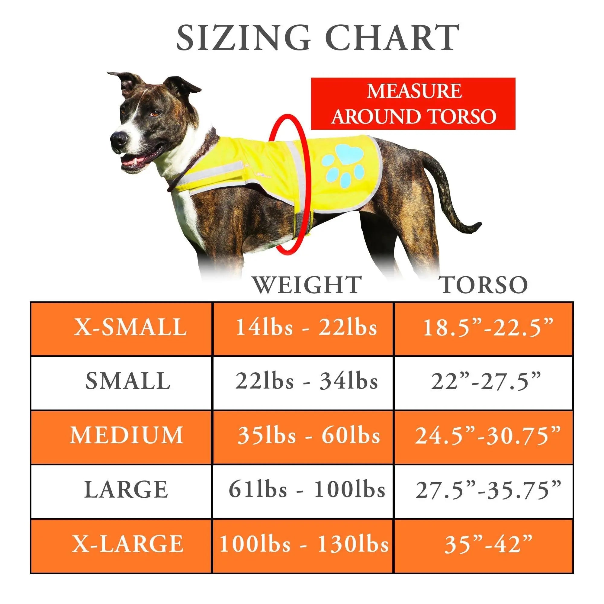 Dog Reflective Vest Sizes to Fit Dogs 14 lbs to 130 lbs   SafetyPUP XD Hi Vis Safety Vest Keeps Dogs Visible On and Off Leash in Both Urban and Rural Environments Neon Yellow Safetypup Xd