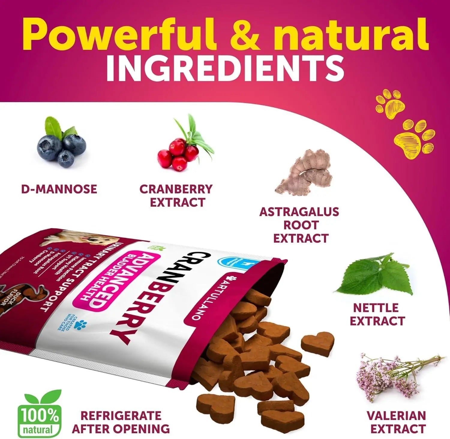 Dog UTI Treatment   Cranberry Supplement & Bladder Control for Dogs   Urinary Tract Infection Incontinence Pill Bladder Stones   UTI Medicine Treats   70 Soft Chews for Kidney Support with Fish Oil Artullano