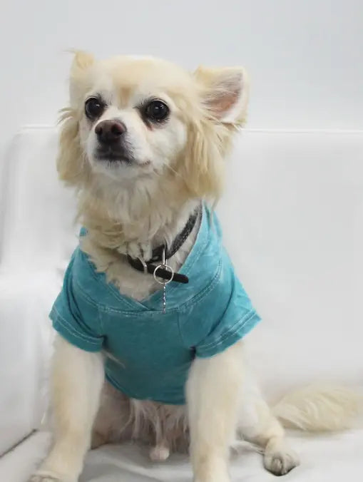 Doggy Hoodie COIN1804