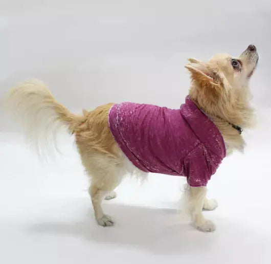 Doggy Hoodie COIN1804