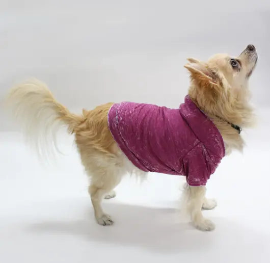 Doggy Hoodie COIN1804
