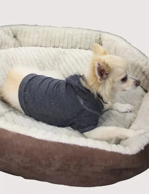 Doggy Hoodie COIN1804