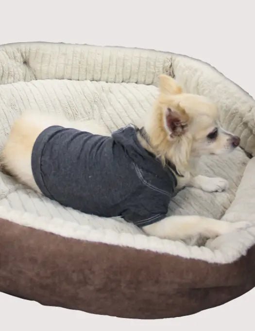 Doggy Hoodie COIN1804