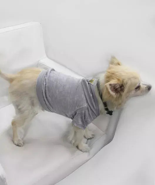 Doggy Hoodie COIN1804