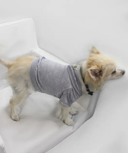 Doggy Hoodie COIN1804