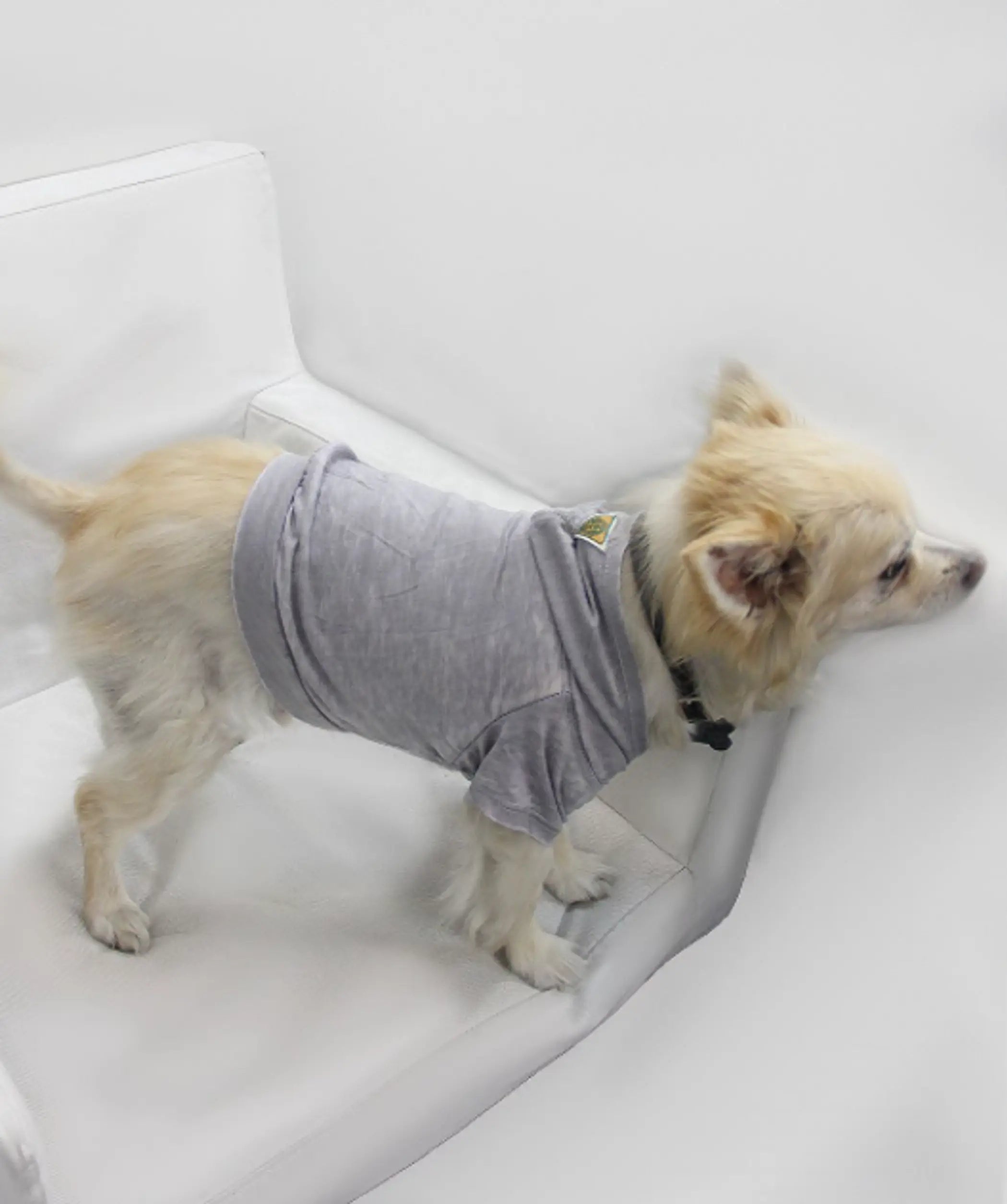 Doggy Hoodie COIN1804