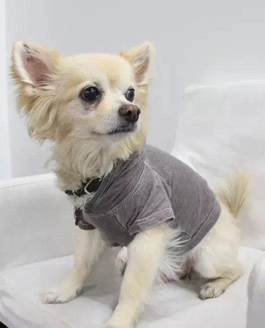 Doggy Hoodie COIN1804