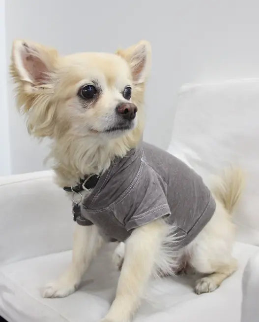 Doggy Hoodie COIN1804