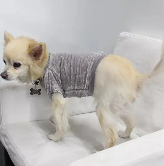 Doggy Tee COIN1804