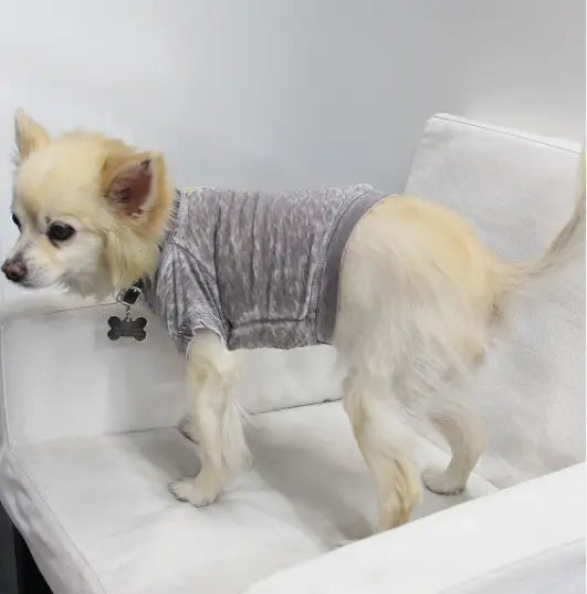 Doggy Tee COIN1804