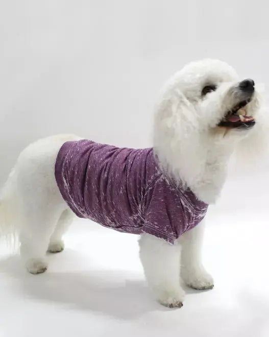 Doggy Tee COIN1804